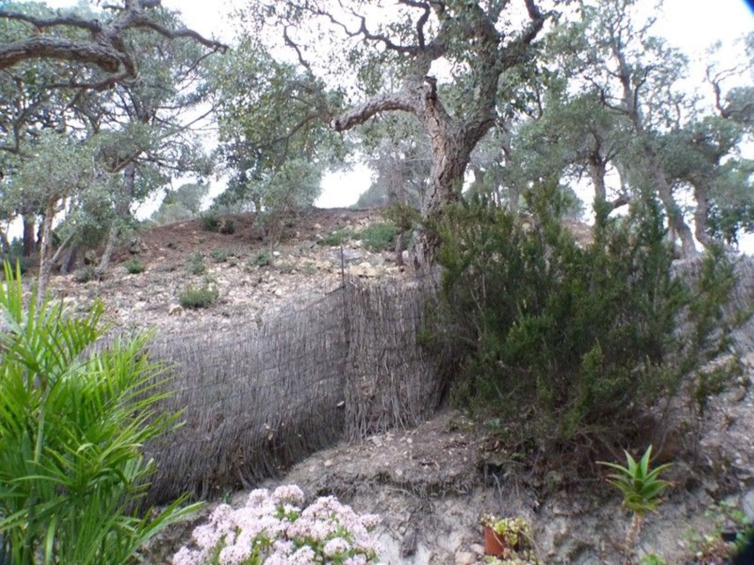 Terreno urbanizable en Canyelles - Montgoda