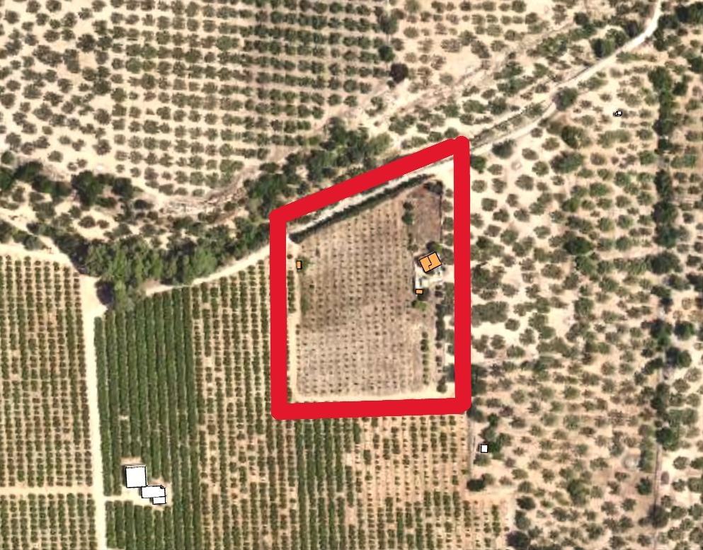 Terreno urbano en LA CAVA   (DEL TEBRE)