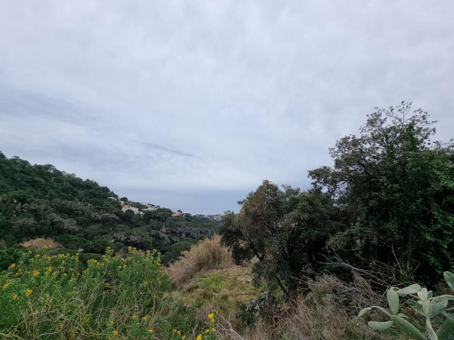 Terreno urbanizable en La Riviera